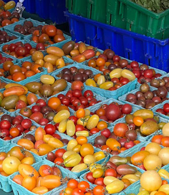 Plastový podnos na jedlo